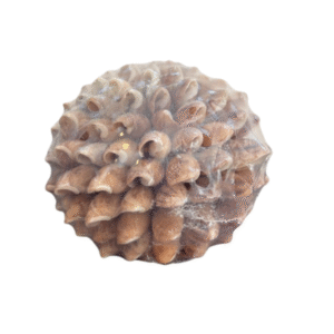 bola de búzios