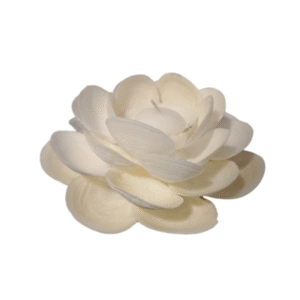enfeite flor de conchas g