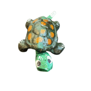 tartaruga p