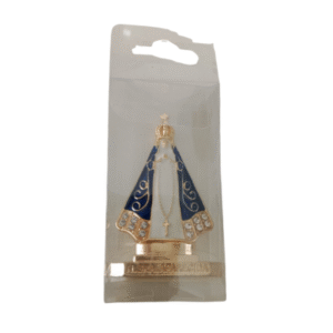nossa senhora aparecida carro
