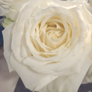 flor para iemanjá - unidade